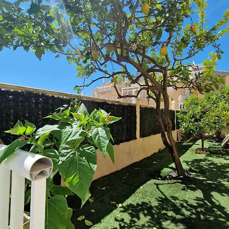 Cozy In With Wifi Hébergement de vacances Torrevieja