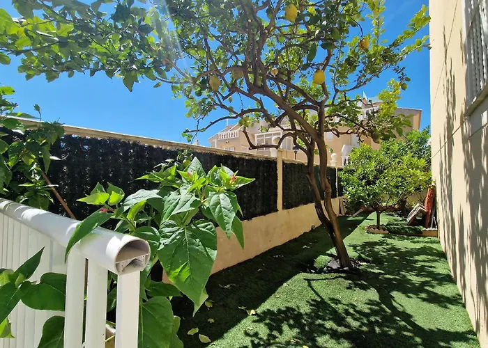 Cozy In With Wifi Hébergement de vacances Torrevieja