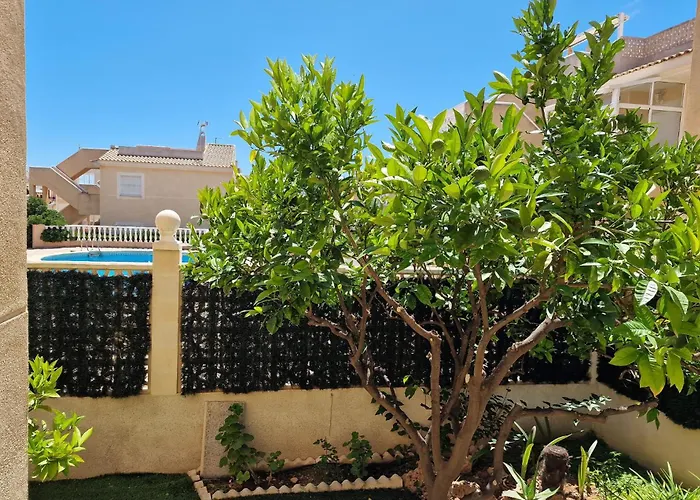 Cozy In With Wifi * Torrevieja