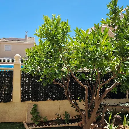 Beautiful In With Swimming Pool * Torrevieja